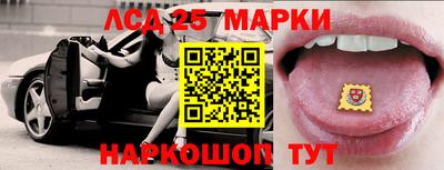ECSTASY Новозыбков
