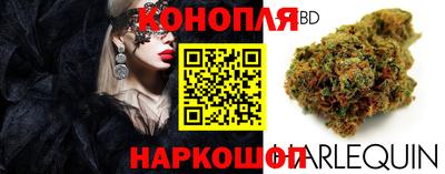 ECSTASY Новозыбков