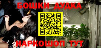 прущие грибы Новодвинск