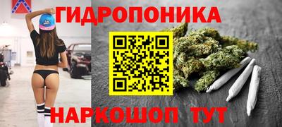 ECSTASY Новозыбков