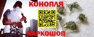 прущие грибы Новодвинск